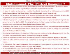 Muhammad was he really the perfect example