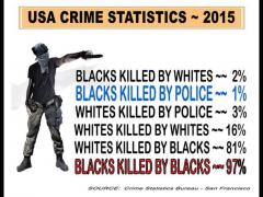 Crime statistics black white murders truth hurts