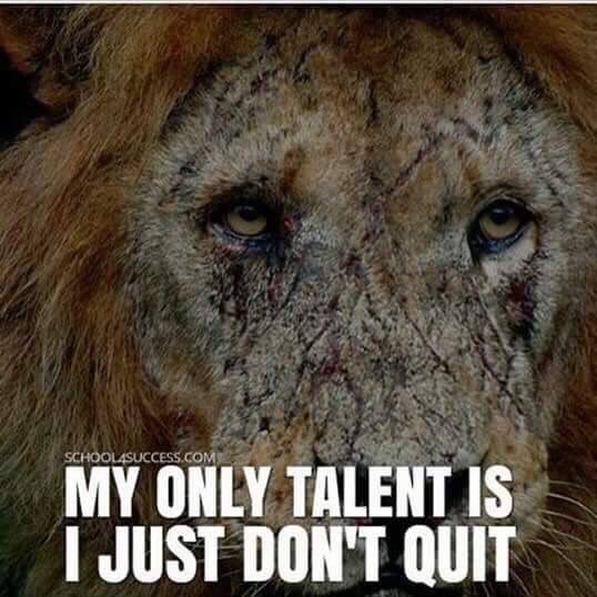 My only talent is I just don&#039;t quit