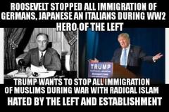 Leftist Hero Roosevelt stopped all immigration of Germans Japanese and Italians During WWII