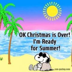 Snoopy Christmas is over I am ready for summer