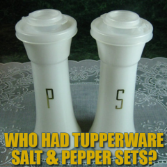 tupperware salt and pepper set