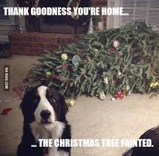 The Christmas tree fainted