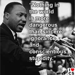 MLK Nothing more dangerous than ignorance and stupidity quote