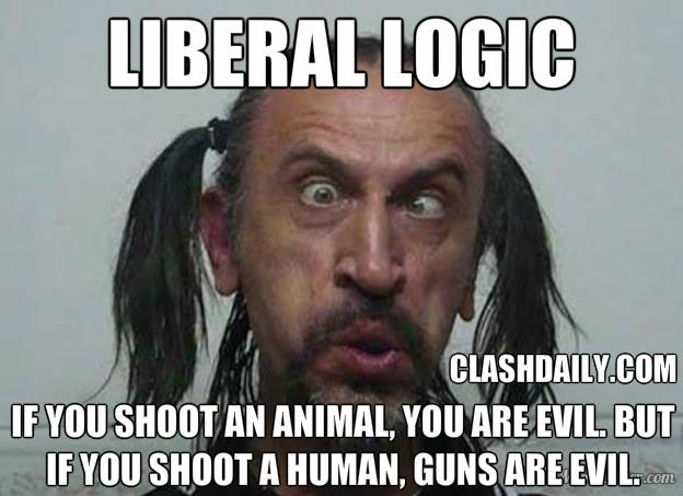 liberal logic -guns