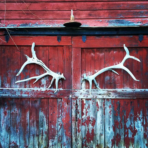 Barn doors with antlers