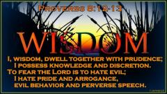 Wisdom Proverbs 8 12-13