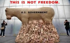 This is not freedom Big Gov is not a Fatted Cow
