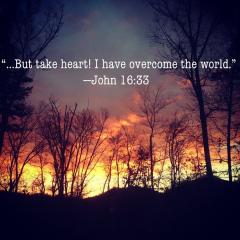 BUT TAKE HEART I HAVE OVERCOME THE WORLD