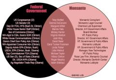 Ever Wonder Why the USA Wont Outlaw Monsanto