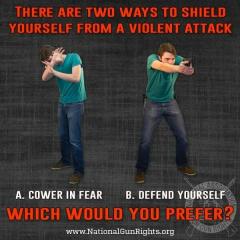 Two ways to shield yourself from violence Cower in Fear or Defend Yourself