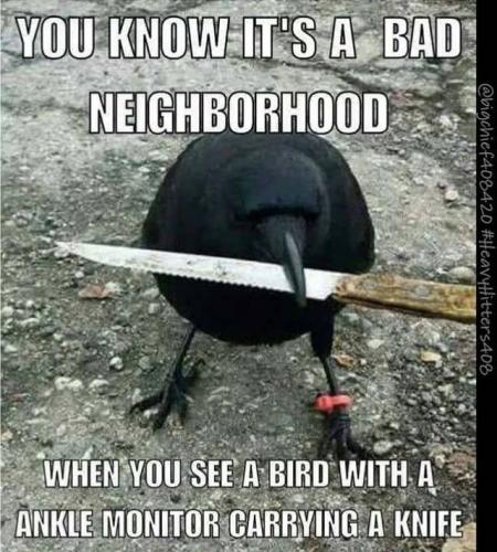Bad Neighborhood