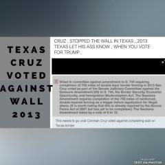 Did Ted Cruz Vote Against the Wall