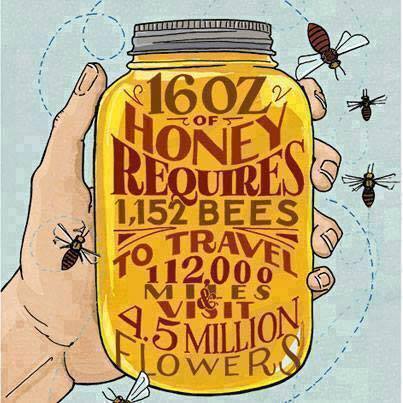What does it take to make a 16oz jar of honey