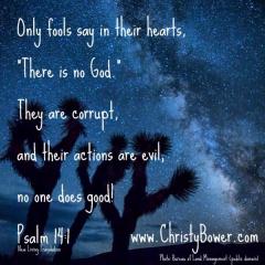 Only fools say in there hearts there is no God Psalm 14-1