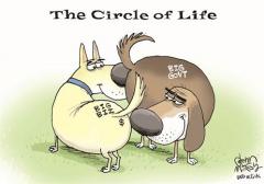 The circle of life Big Biz and Big Gov