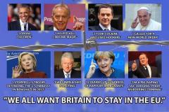 They all want Britain to stay in the EU