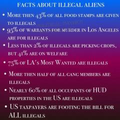 Facts about Illegal Aliens