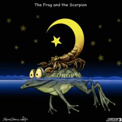frog_scorpion!