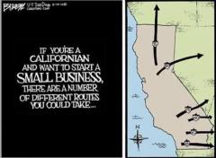 If you want to start a business in California