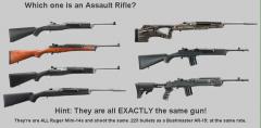 Which one is an assault rifle