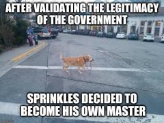 AFter validating the legitimacy of the government sprinkles decided to become his own master