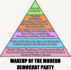 Democrat Party Profile Pyramid Chart