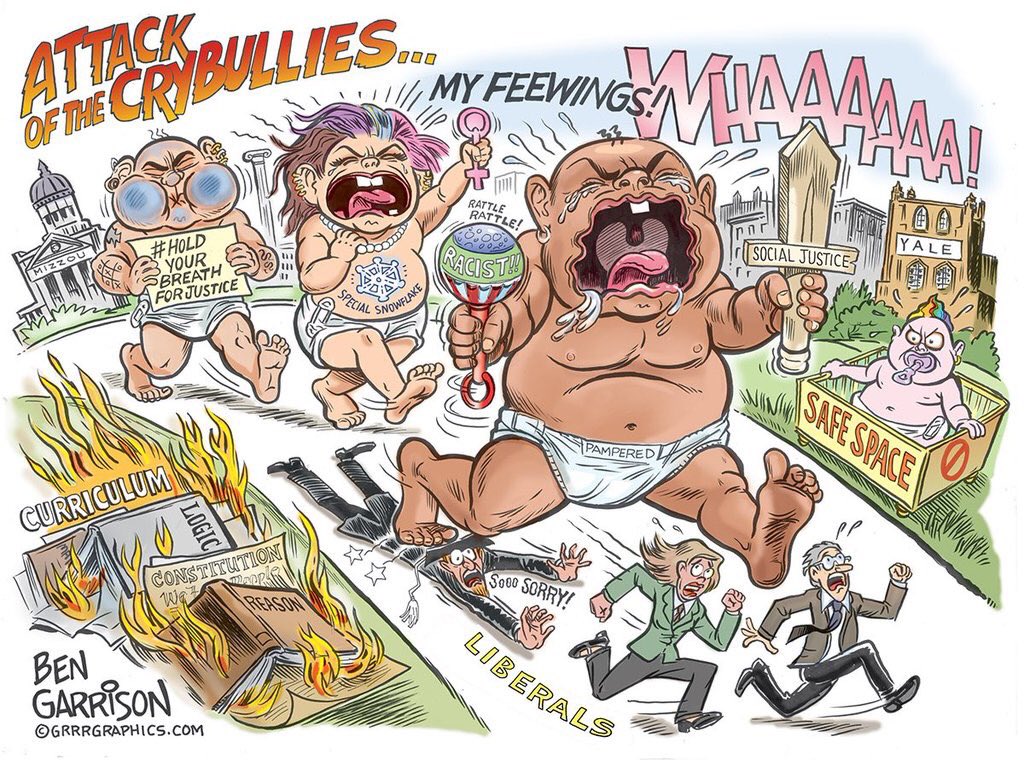 Attack of the Crybullies - Todays liberal snowflakes and social justice warriors