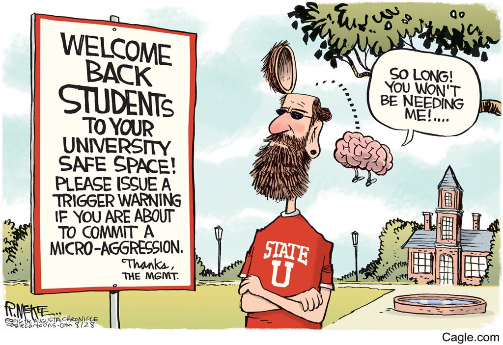 Welcome back students to your university safe space Check your brains at the door