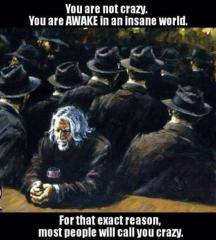 You are not crazy you are awake in an insane world