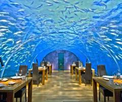 Underwater Dining