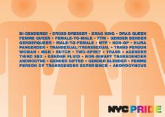 31 genders recognized by New York City