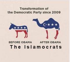Transformation of the Democrat Party Since Obama