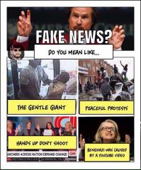 Fake News like The Gentle Giant Peaceful Protests Hands up dont shoot Benghazi because of You Tube Video