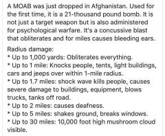 Damage a Moab does