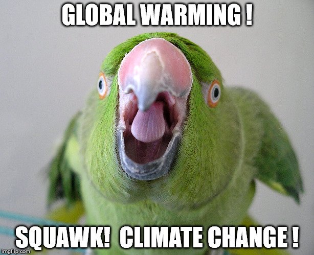 Do not be a parrot - Global Warming SQUAWK Climate Change