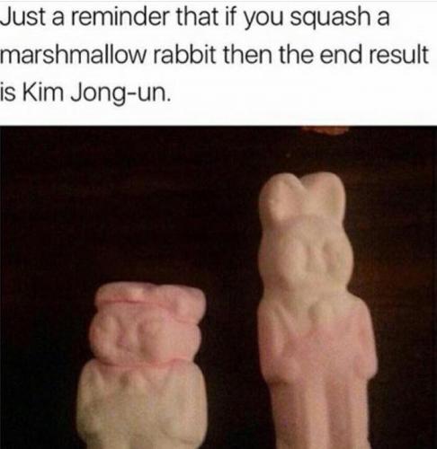 Squashed marshmallow Easter rabbit = Kim Jong-un