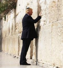 trump at the wall
