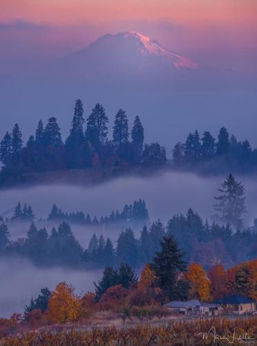 Mount Rainier peeking through the early morning fog