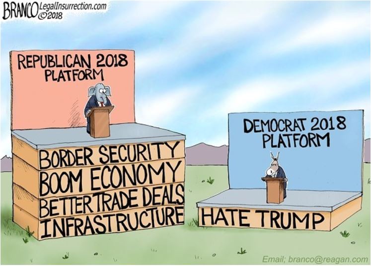 Republican vs Democrat platforms Election 2018