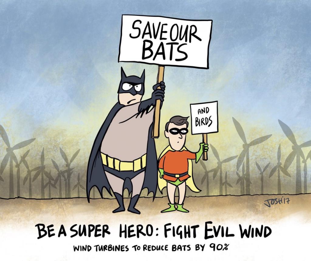 Save our bats and birds from windmills