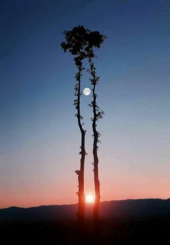 Moon and Sun