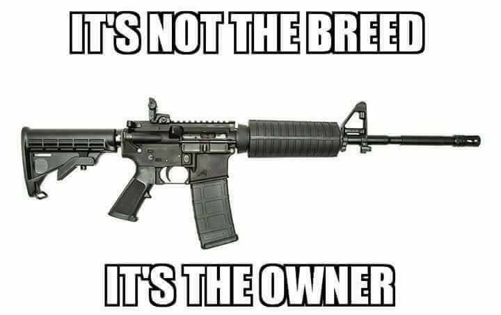 Its Not the Breed Its the Owner