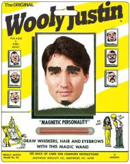 Wooly Justin Trudeau toy - draw on eyebrows - hehehe