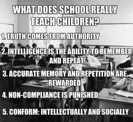 What is your childs school really teaching