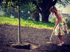 The most beautiful first lady in the history of America Melania Trump plants a tree