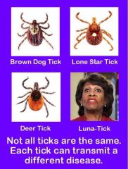 Not all ticks are equal