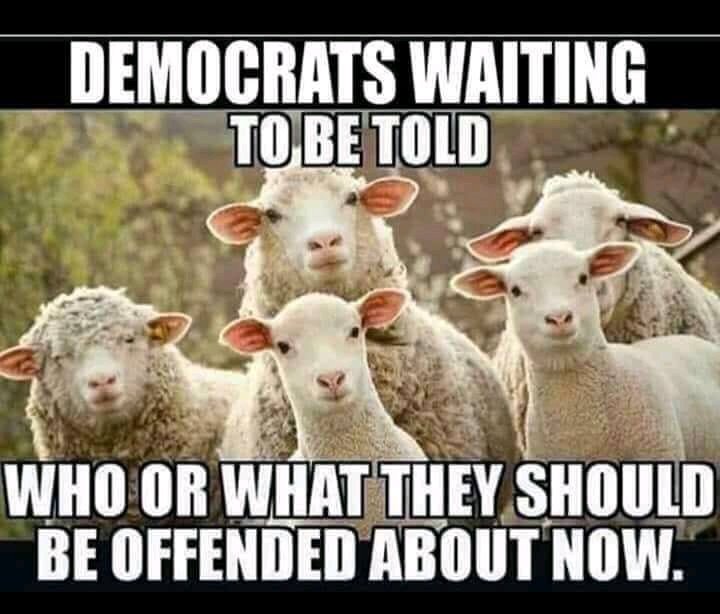 Democrats waiting to be told who or what they should be offended about now
