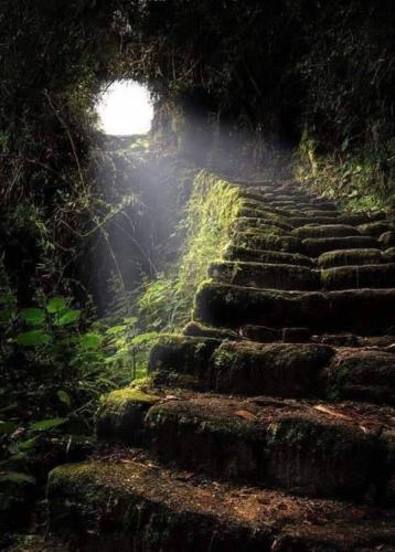 Passage on the Inca Trail leading to Machu Picchu