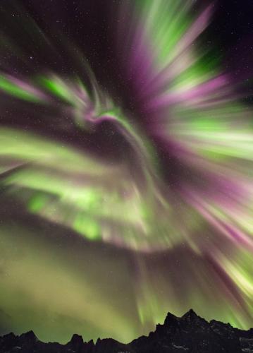 Phoenix-shaped auroras